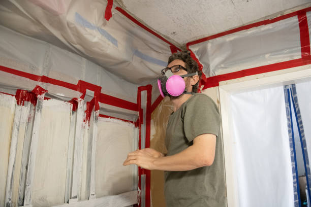 Trusted Wesley Chapel, FL Mold Removal Experts