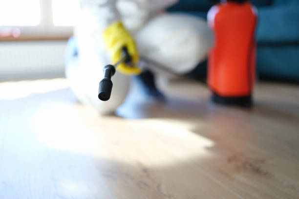 Best Forensic Mold Investigation  in Wesley Chapel, FL