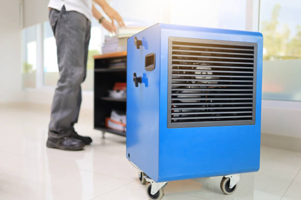 Best Mold Prevention Services  in Wesley Chapel, FL