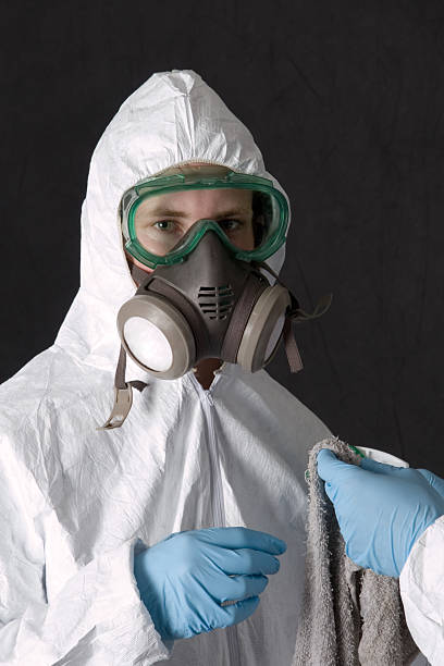Best Mold Damage Restoration  in Wesley Chapel, FL